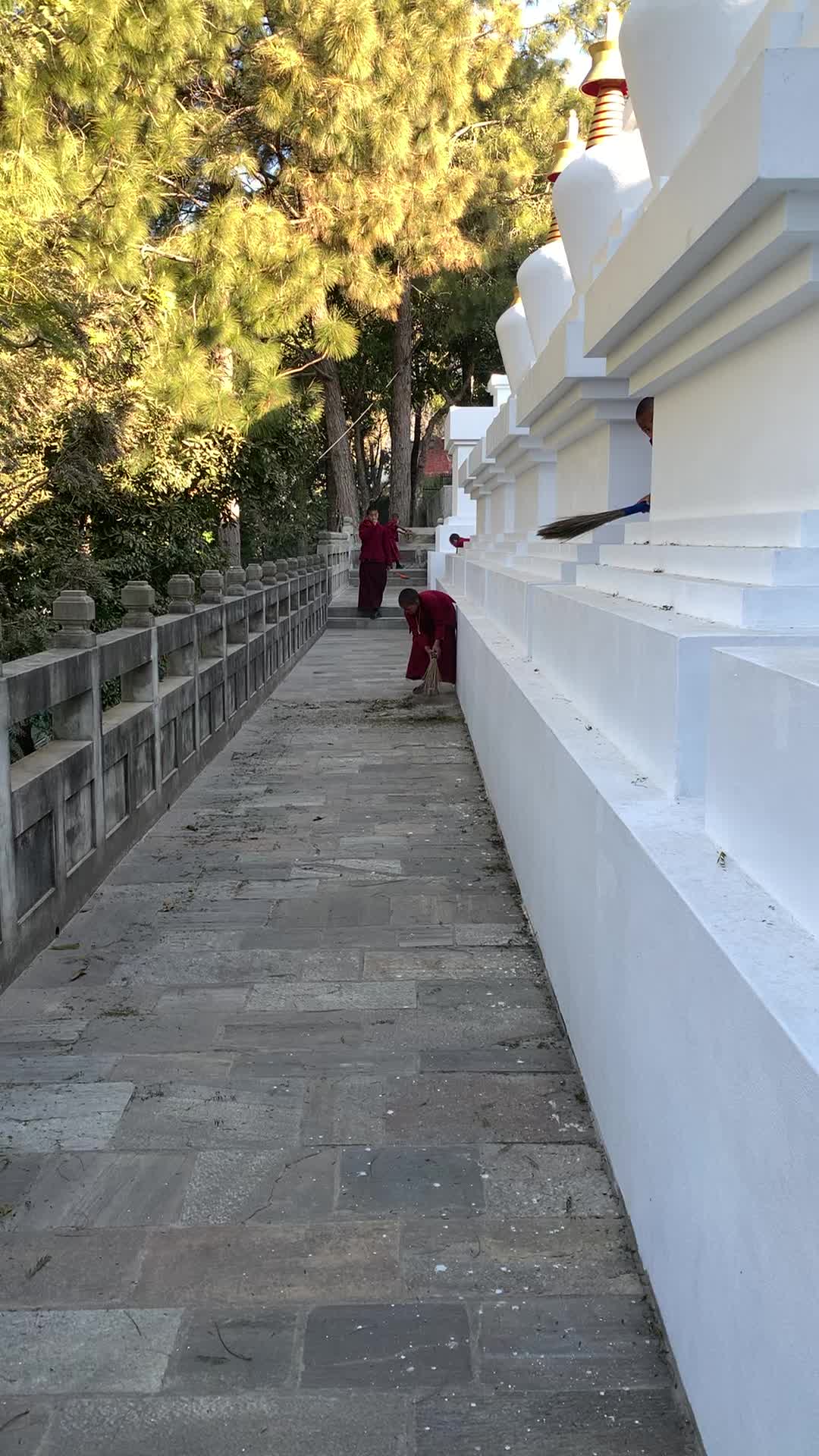 @Ngawang Tenzin