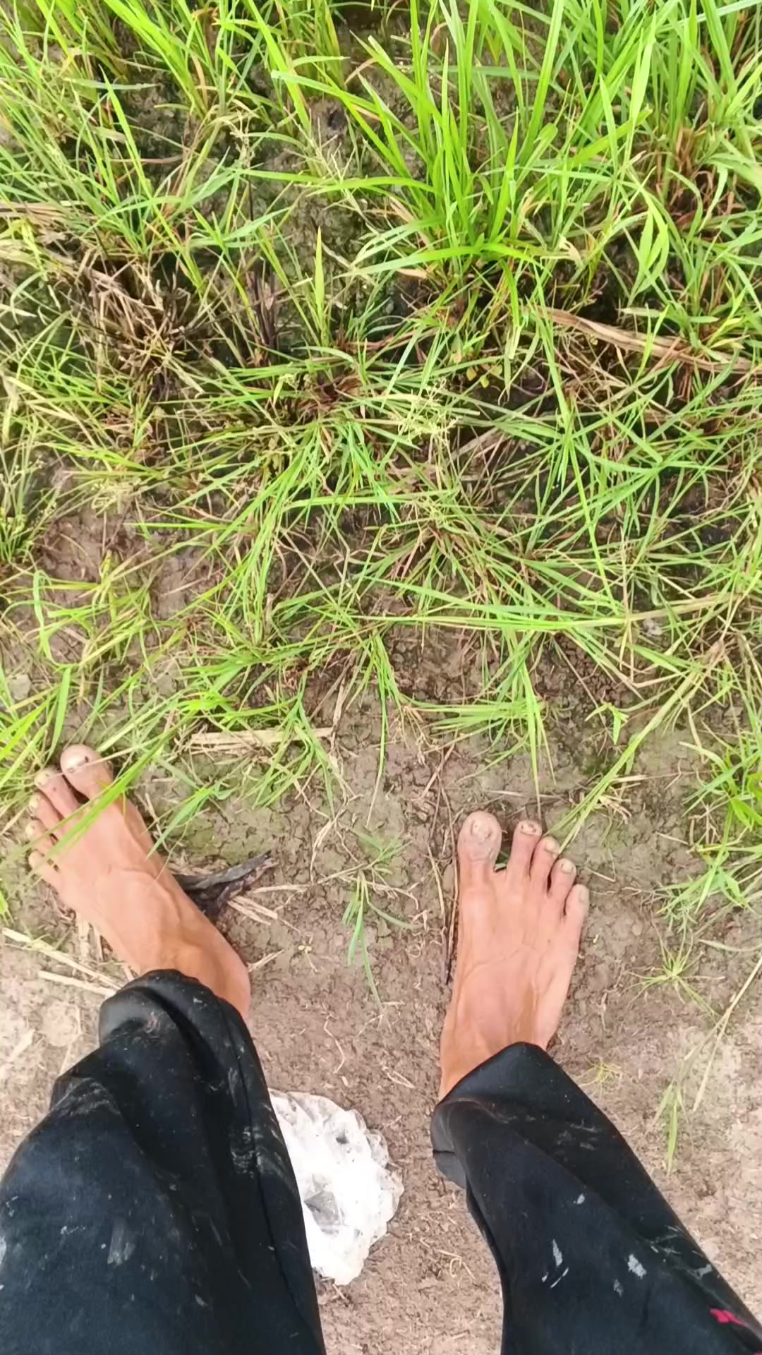 @Agk88