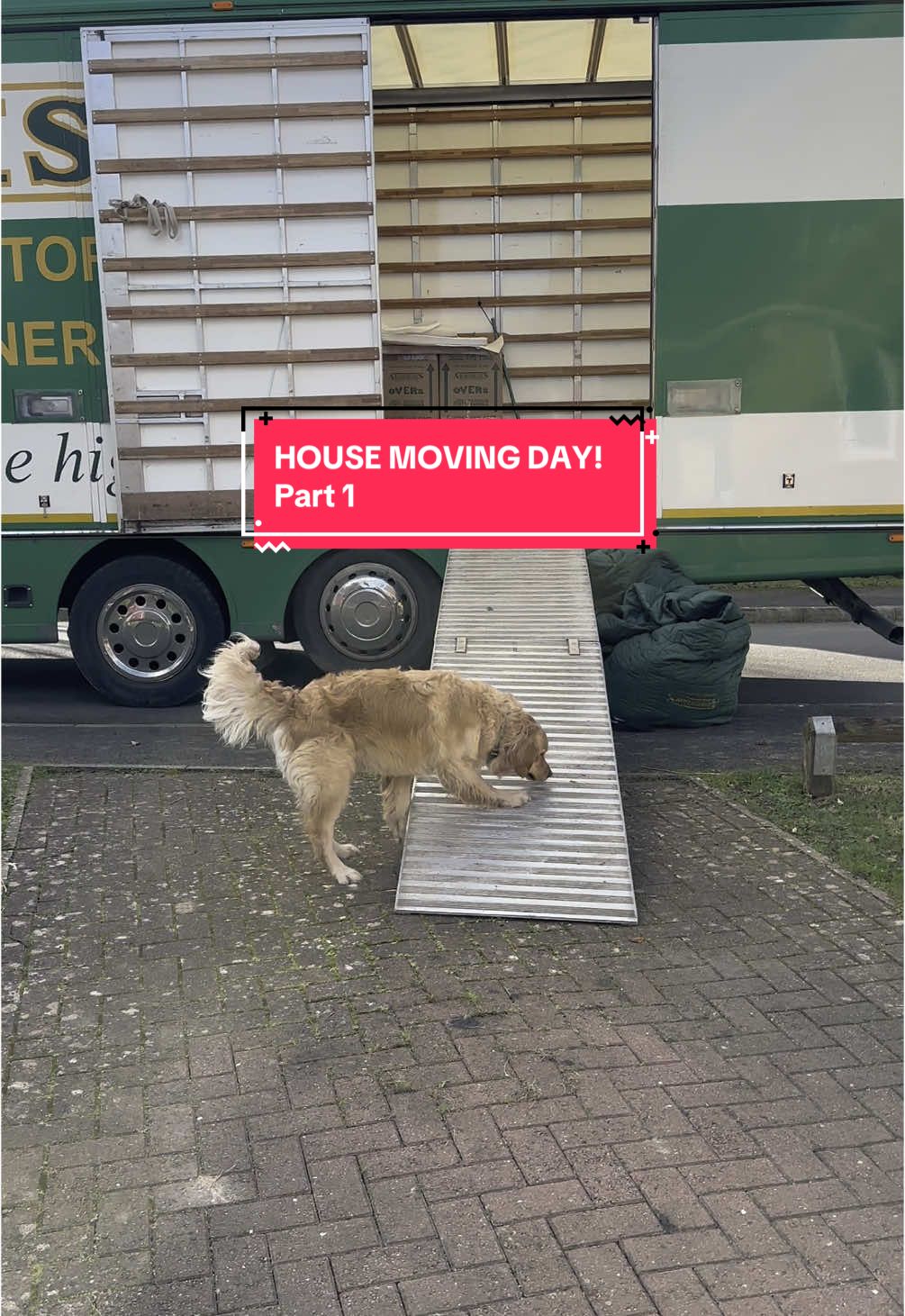 @Sheldon The Retriever