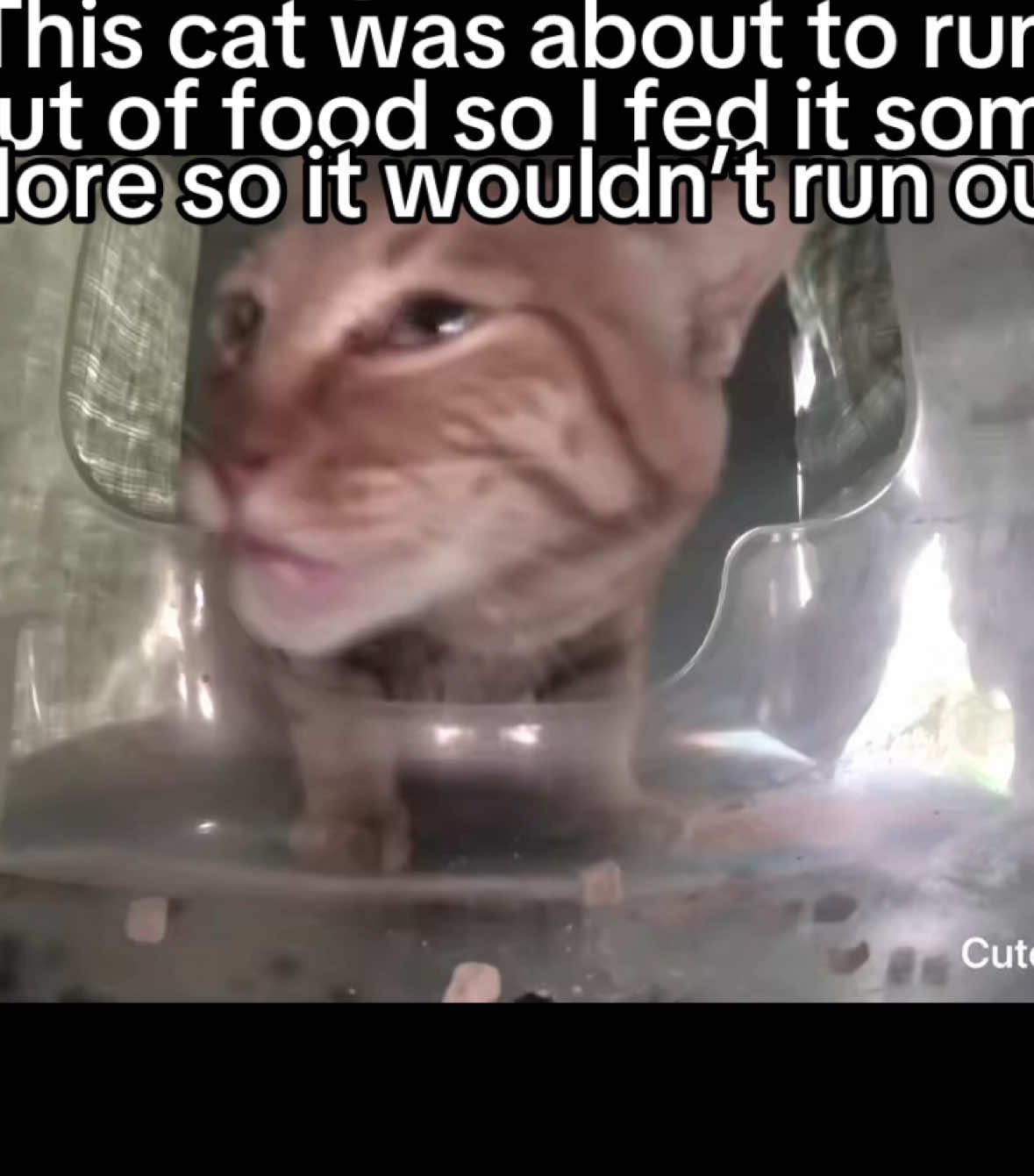 @Purrrr