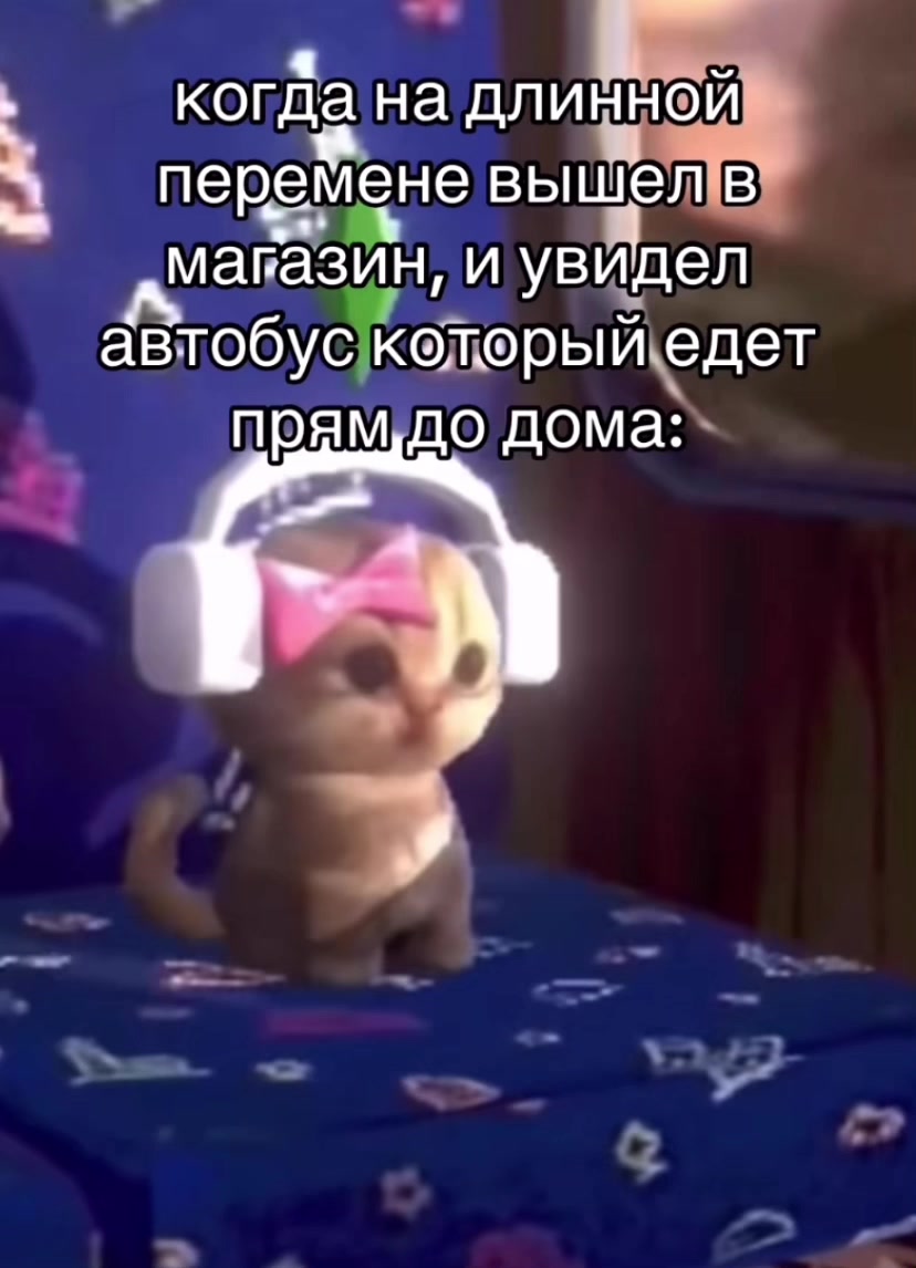@dmtfakboyfan