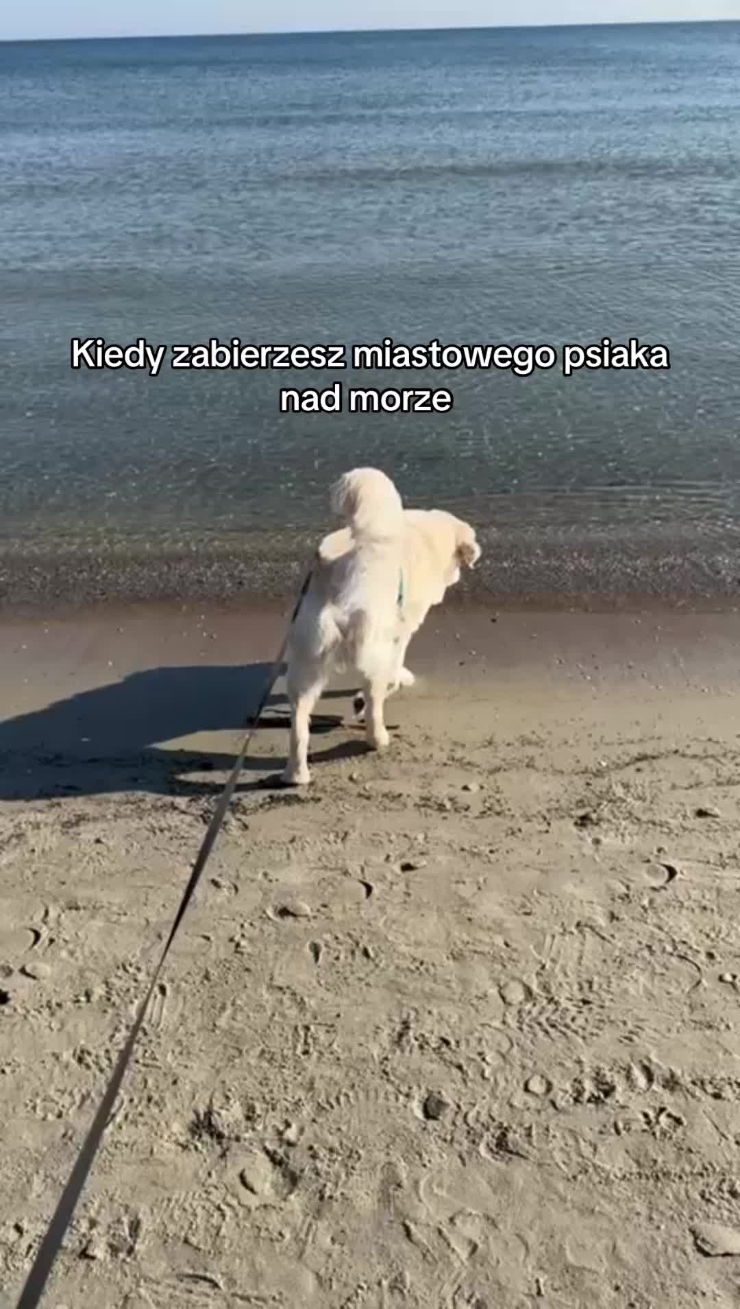 @Martyś 🥳
