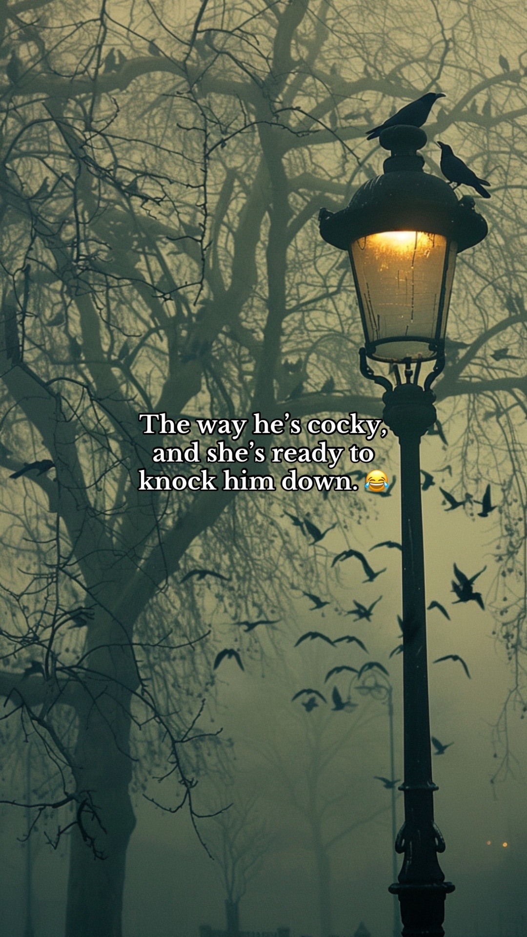 @bookdrizzle
