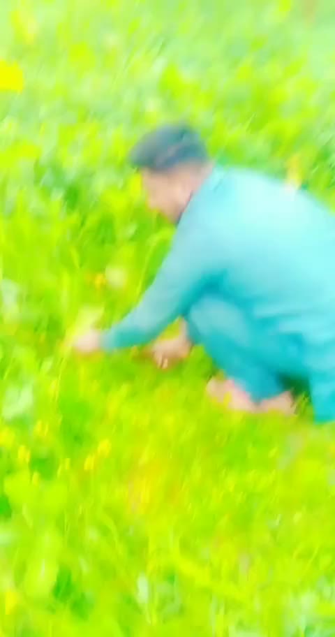 @Malik Arslan
