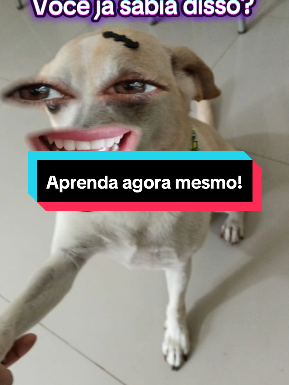 @Dani Mendon&ccedil;a
