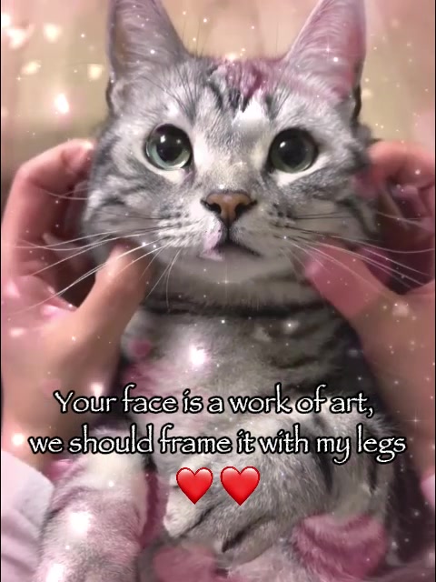@VyyPilgrim72