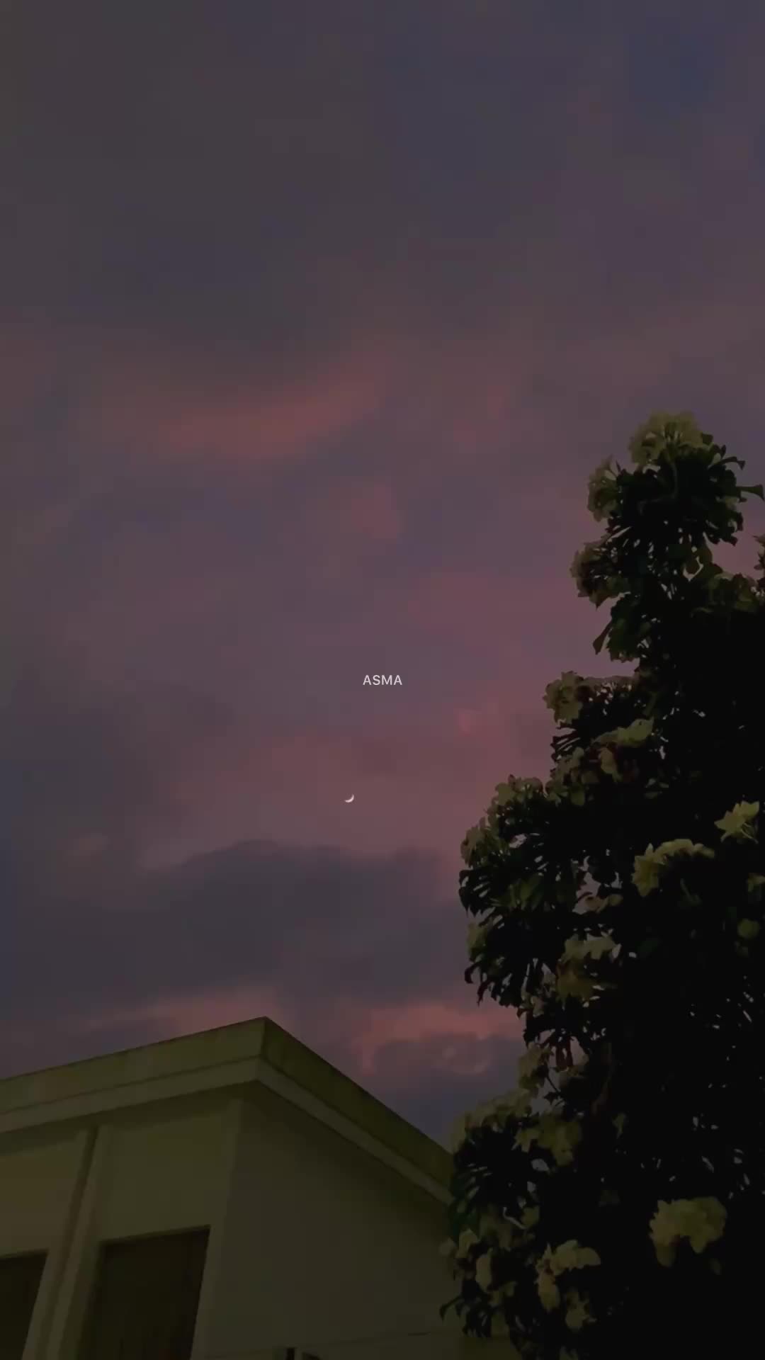 @Asma_writes