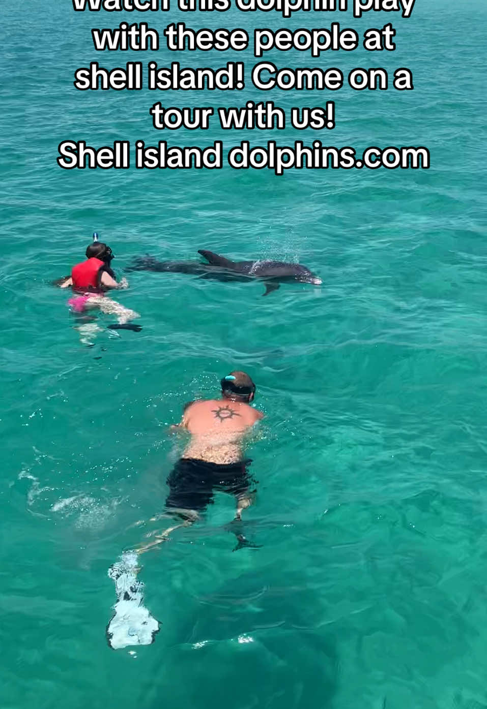 @Shell Island Dolphin Tours 🐬