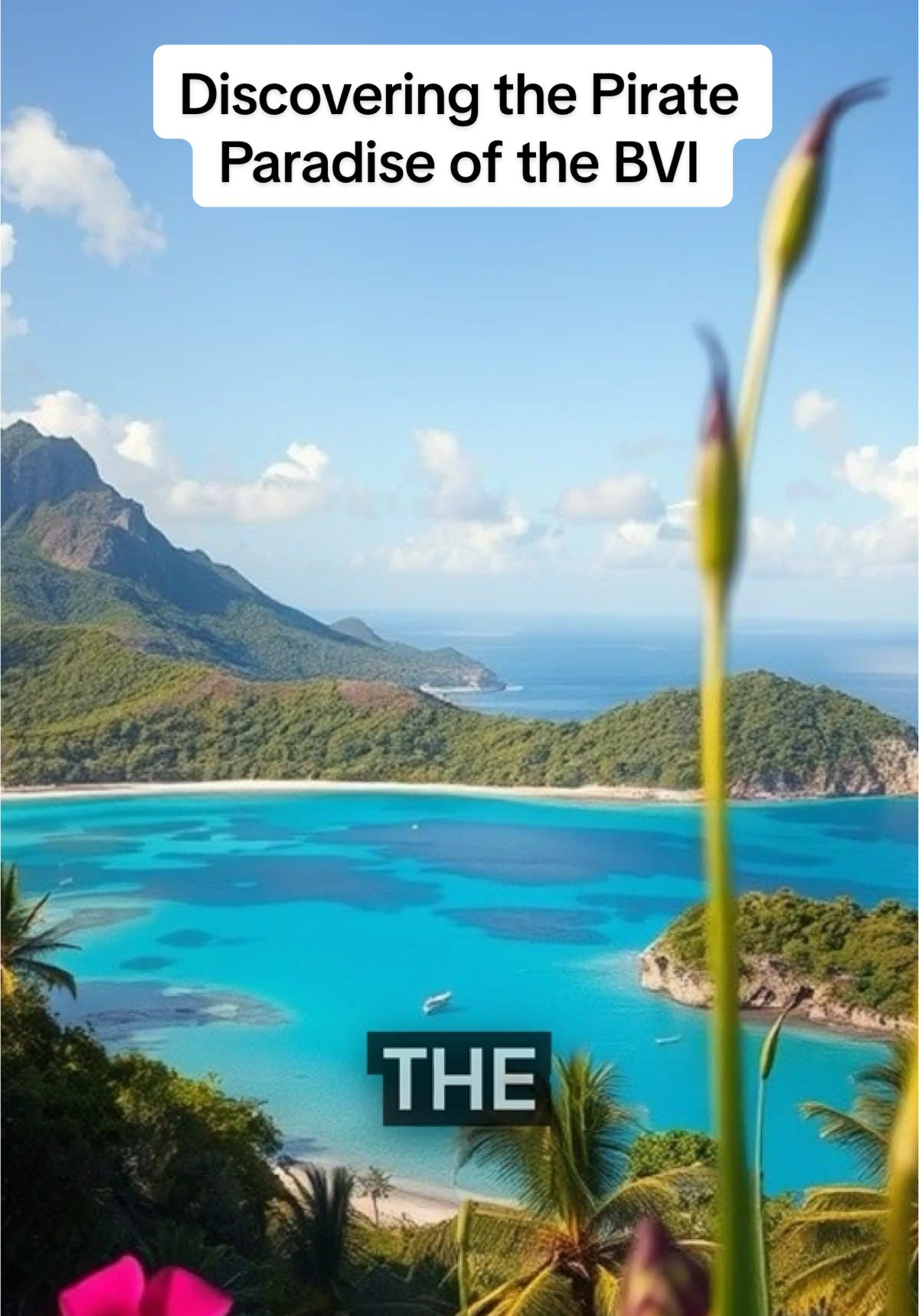 @caribbean_chronicles