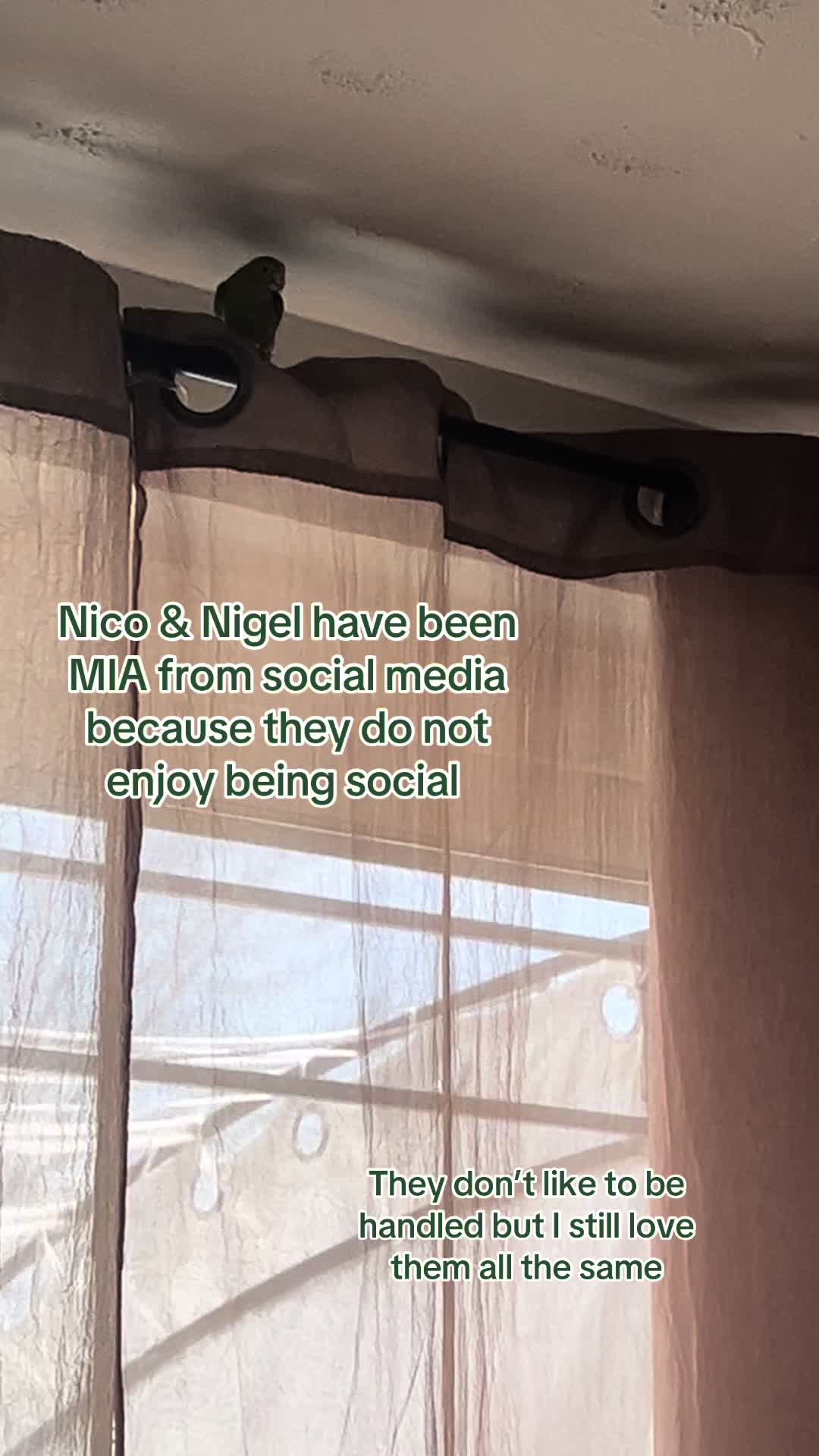 @nicole mj 🦋