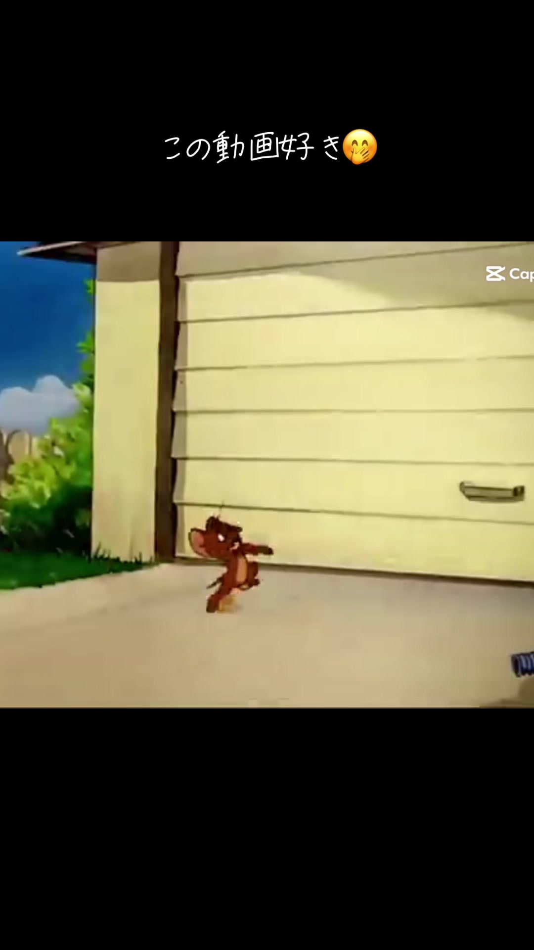 @Tom &Jerry
