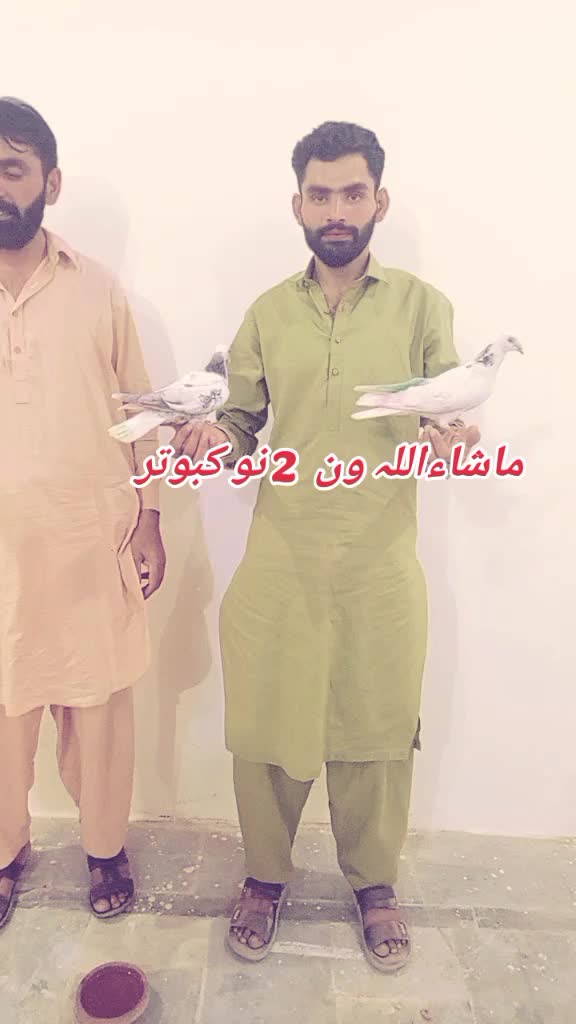 @Zeba Niazi