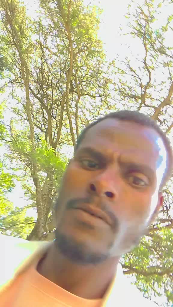@Rebicho Nice