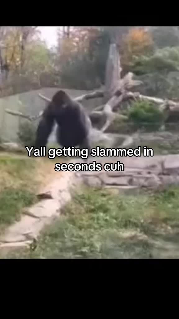 @SShot70