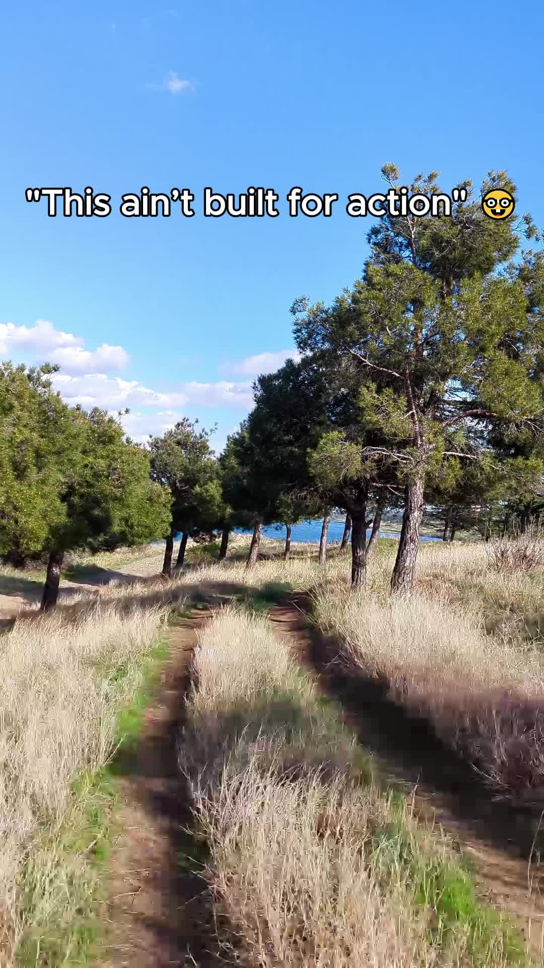 @pov.runner