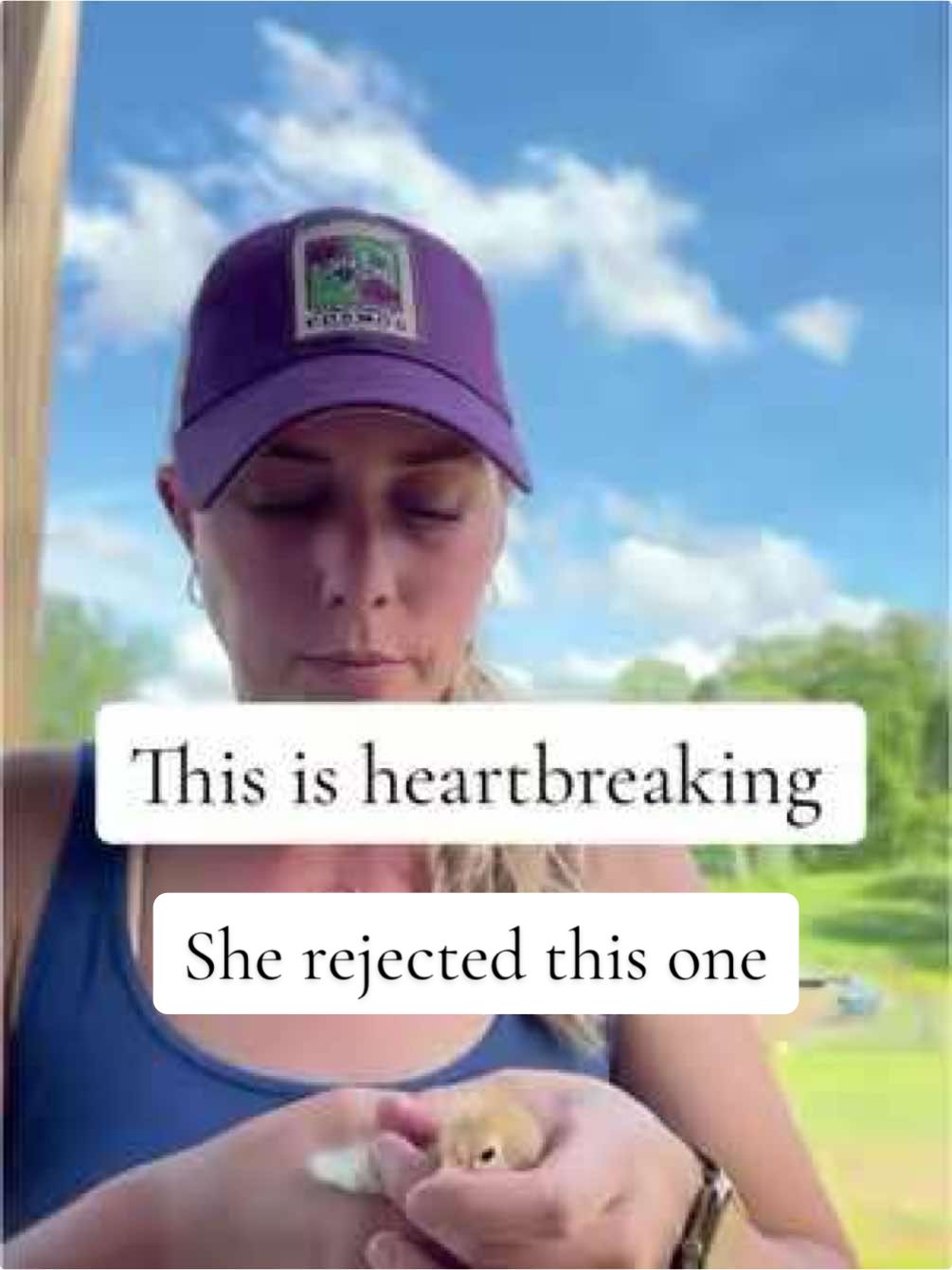 @CopperHollerFarm