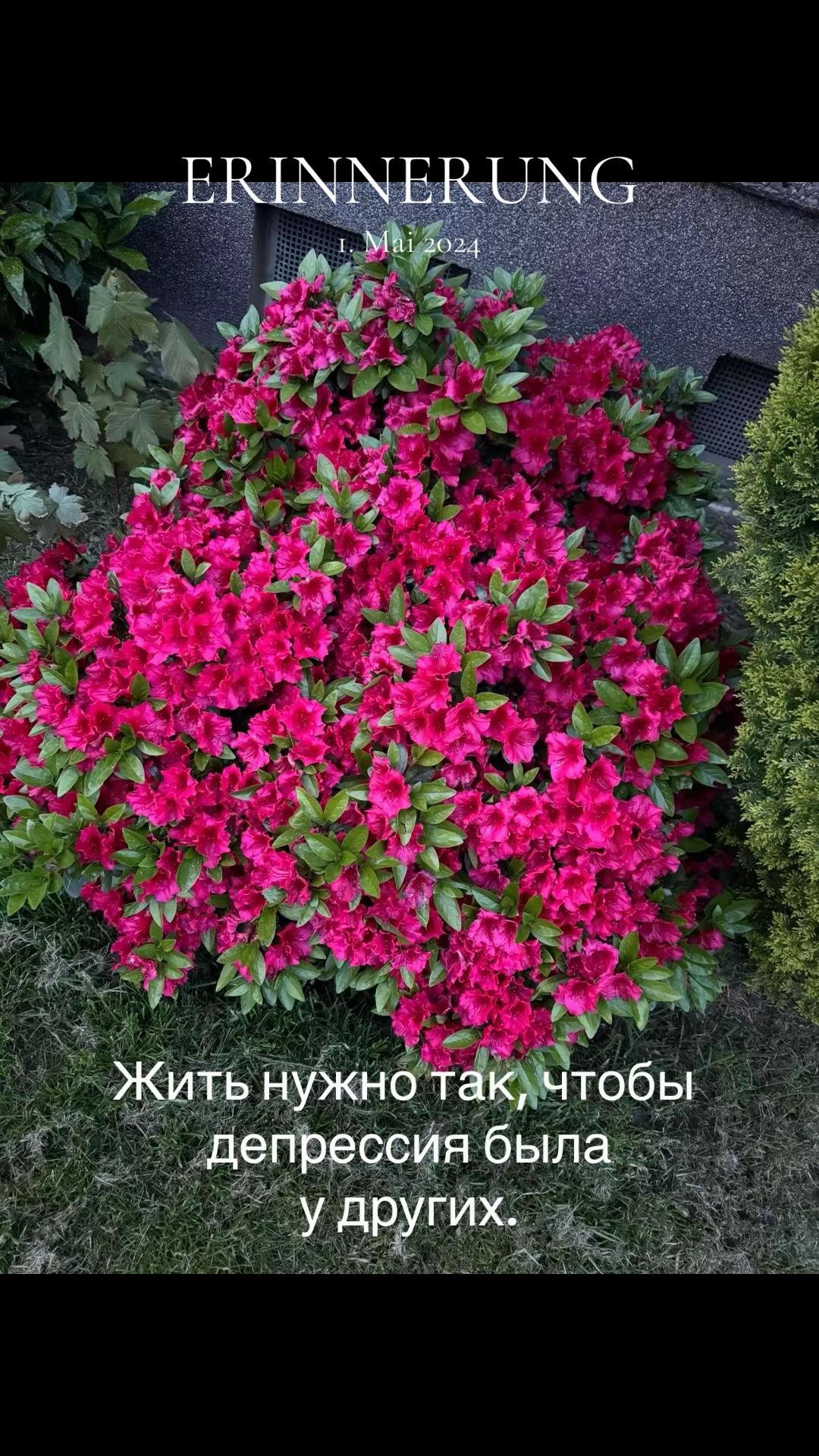 @Анна