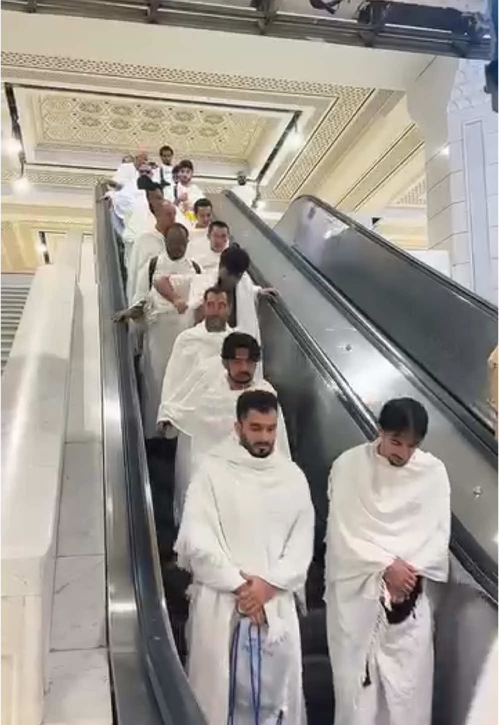@MuslimVoiceForPeace