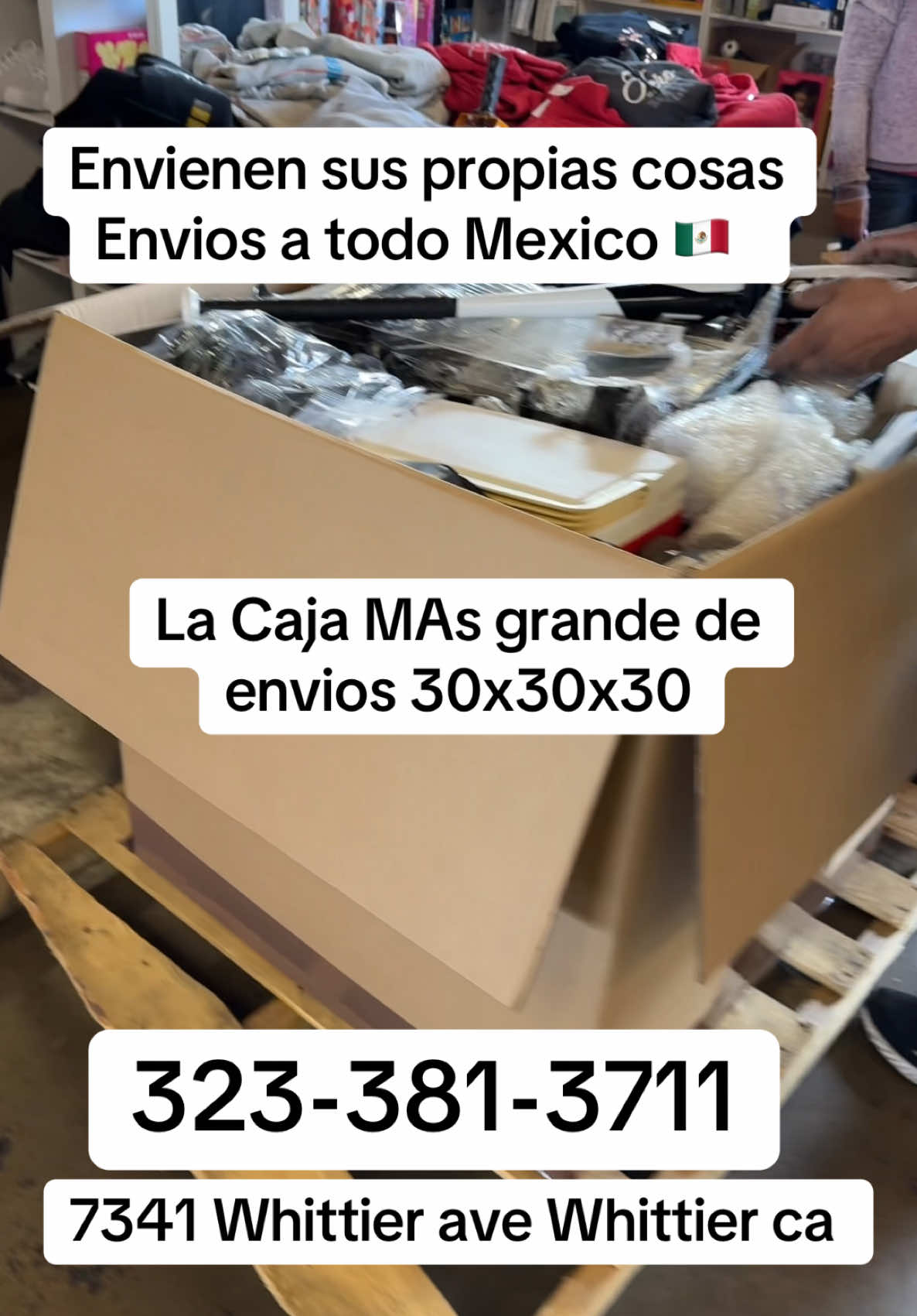 @LAPACA Diamante wholesale