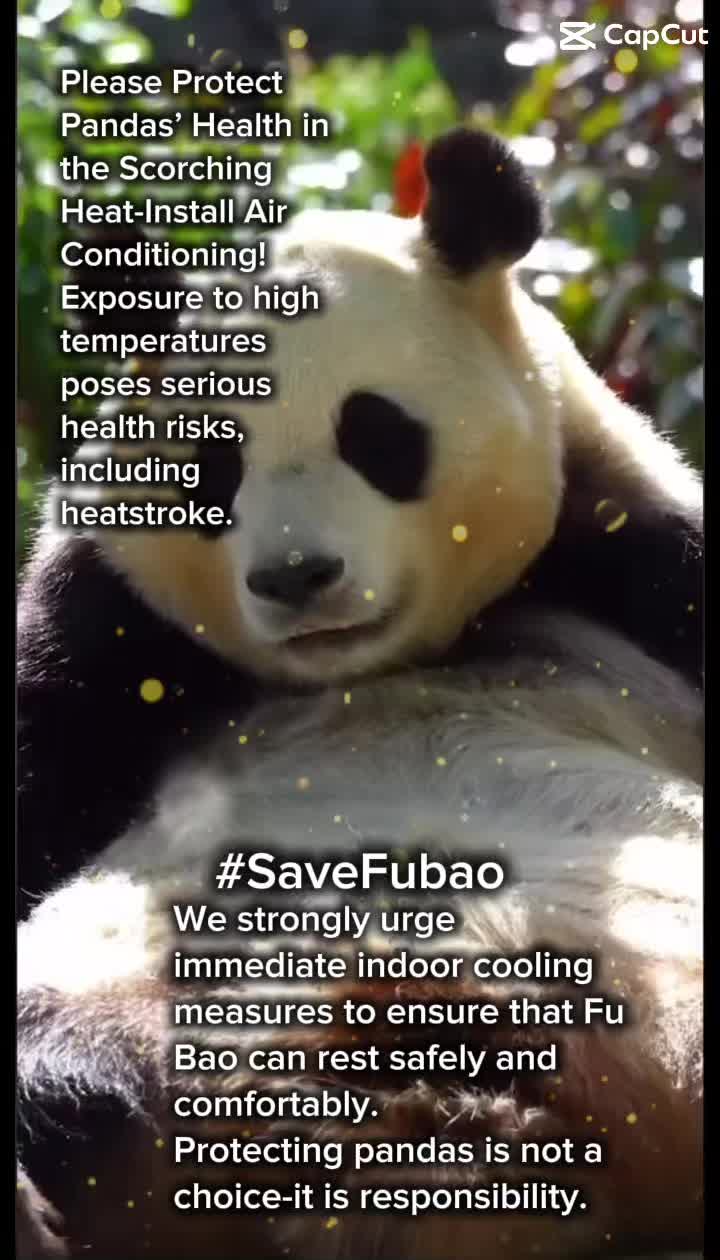 @fubao_love