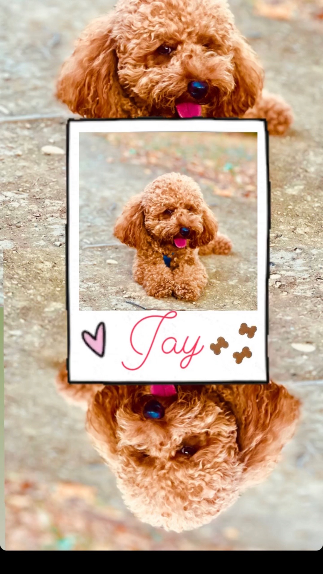 @Mister_JAY_7