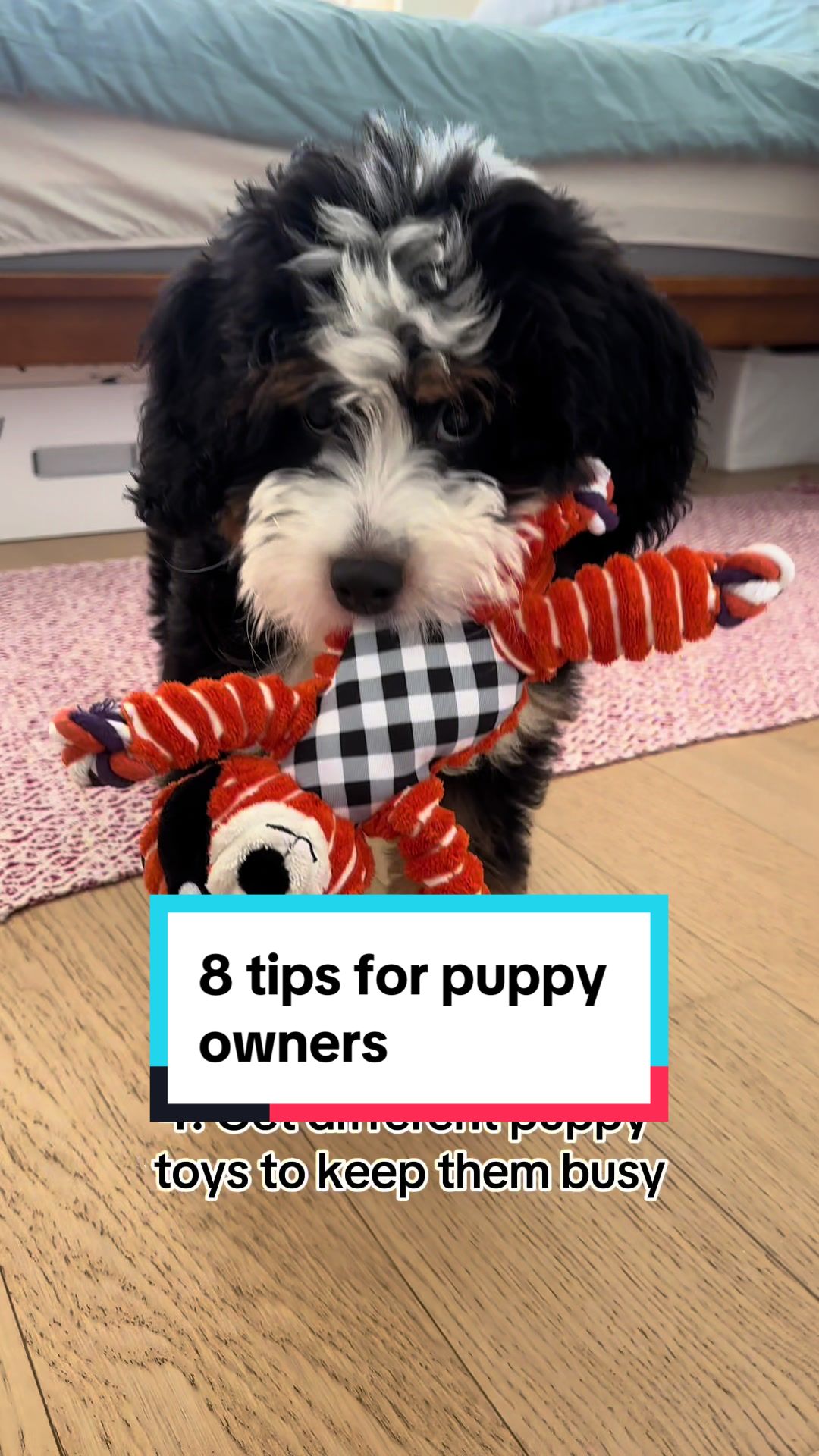@PuppyPoppyfamily