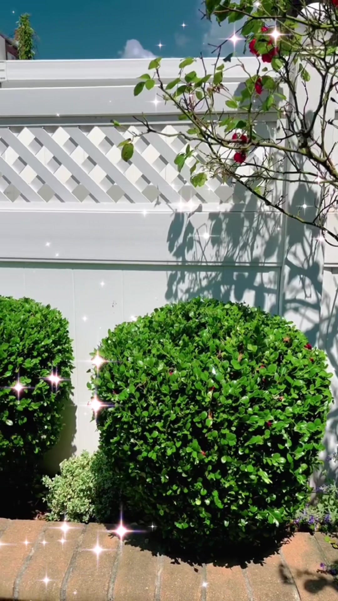 @SRG Landscaping LLC