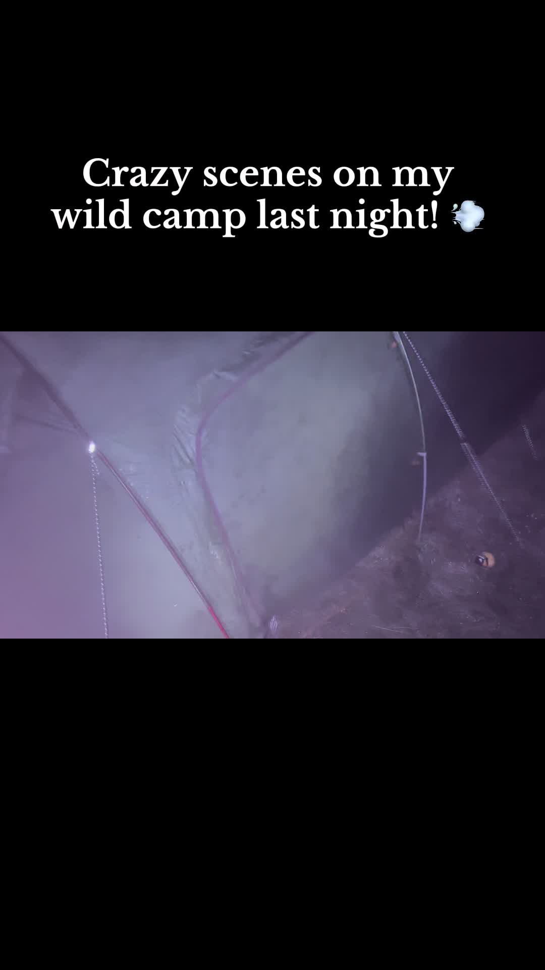 @Adam in the wild