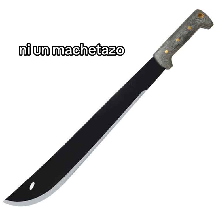 @VibeLyrics