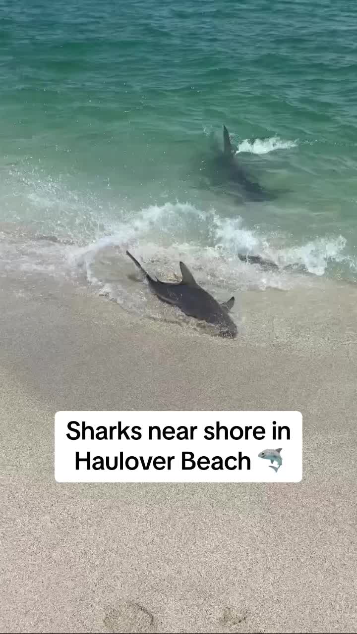 @Miami | Miami Beach