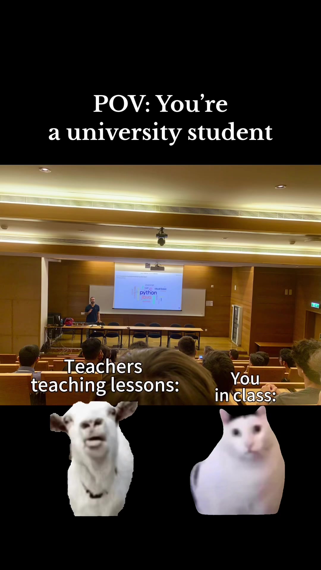 @Jun