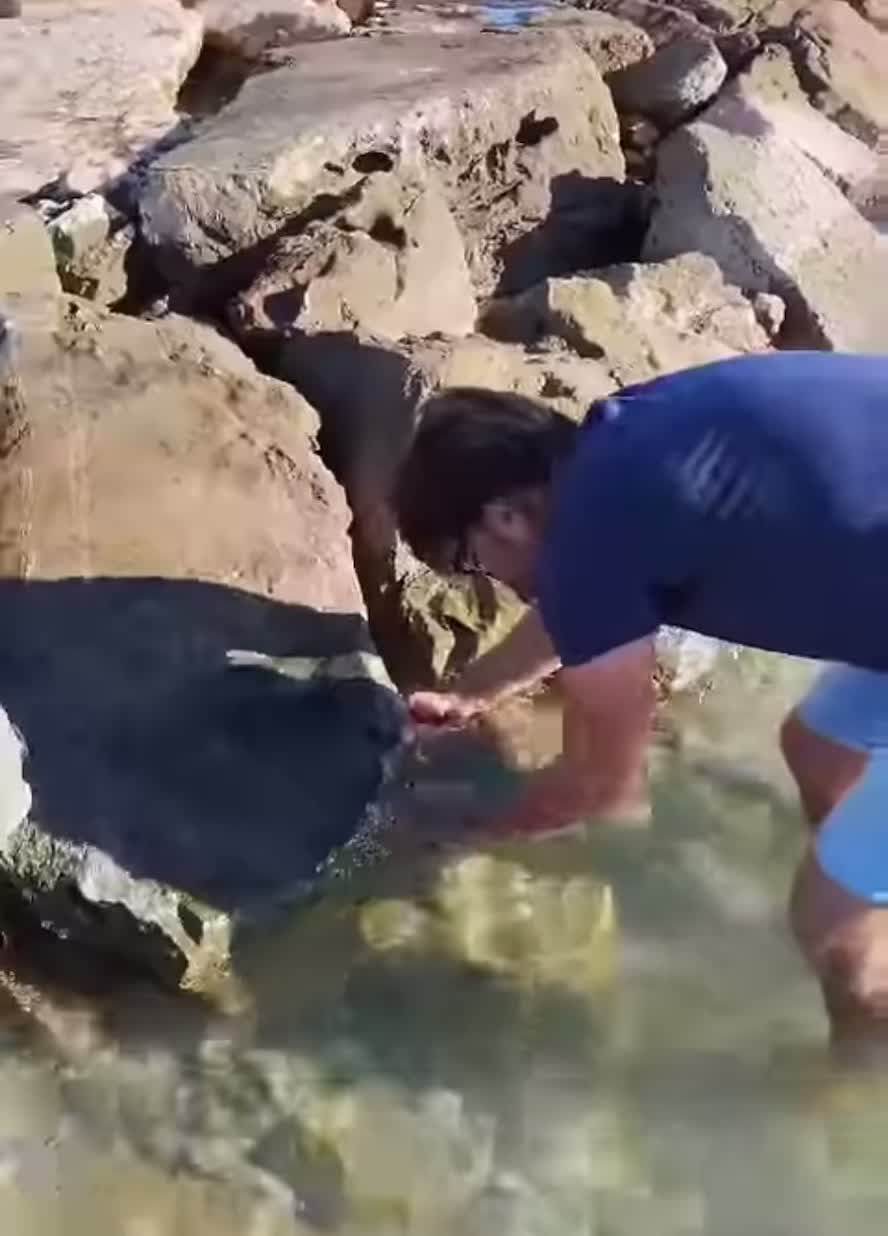 @Lido la Caravella