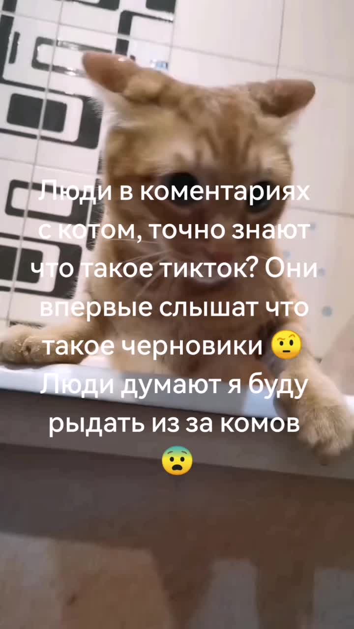 @Пбиджик