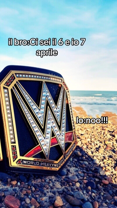 @WWEFAN
