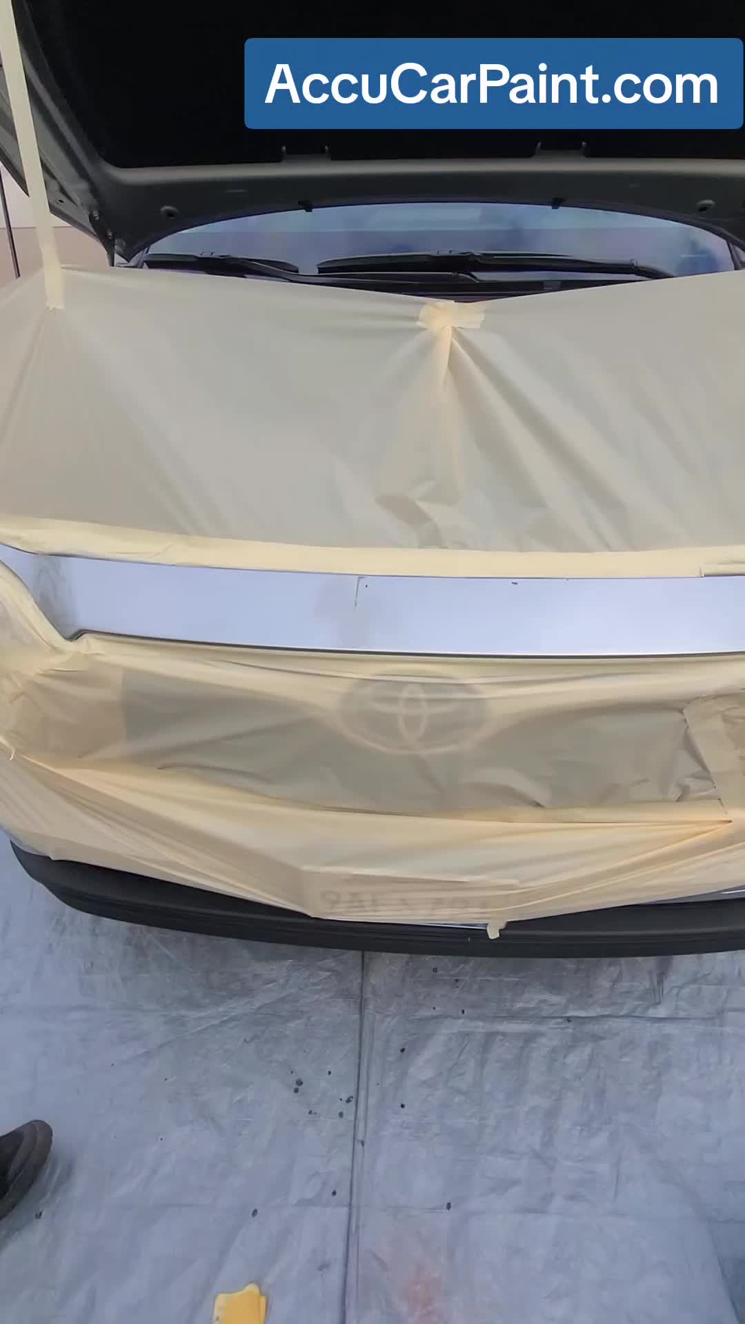 @AccuCarPaint