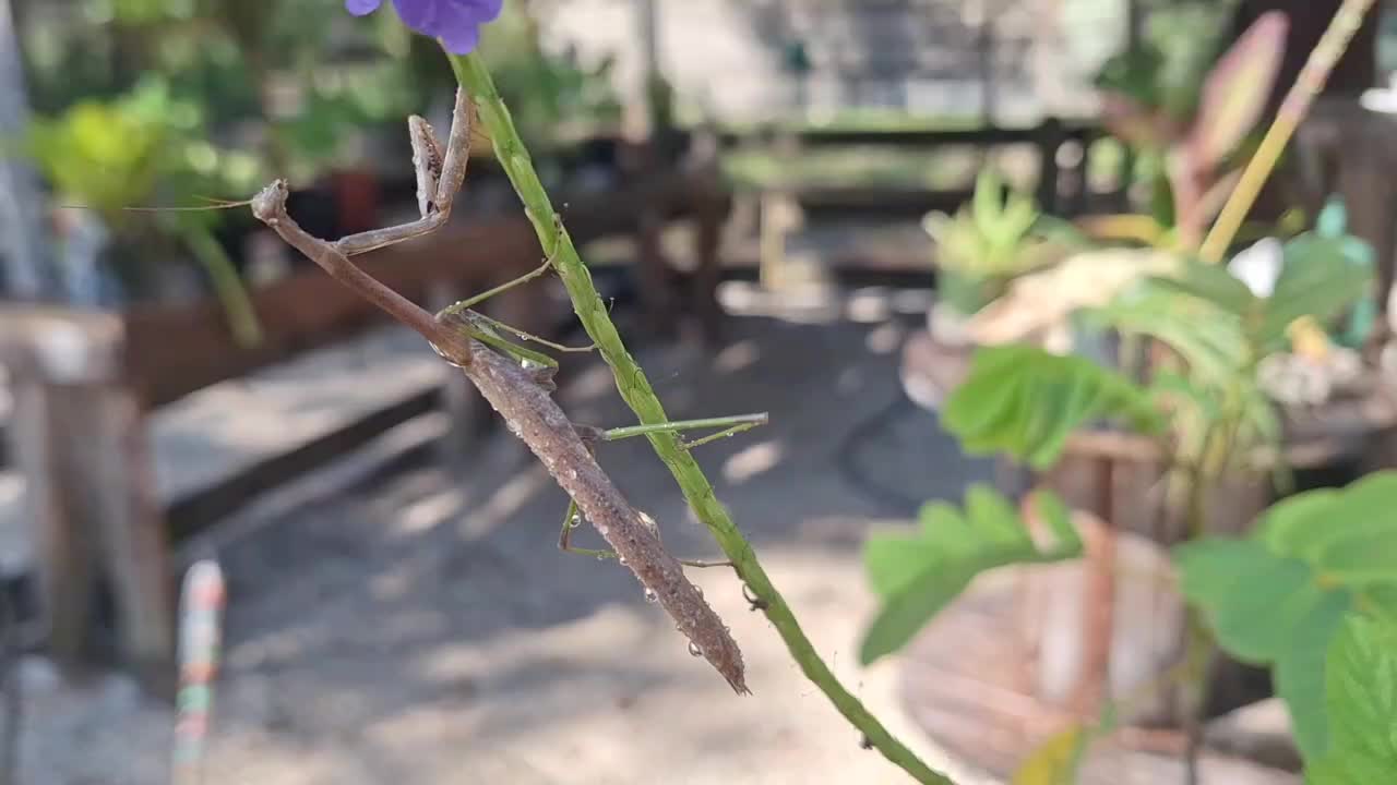 @GatorGirl22