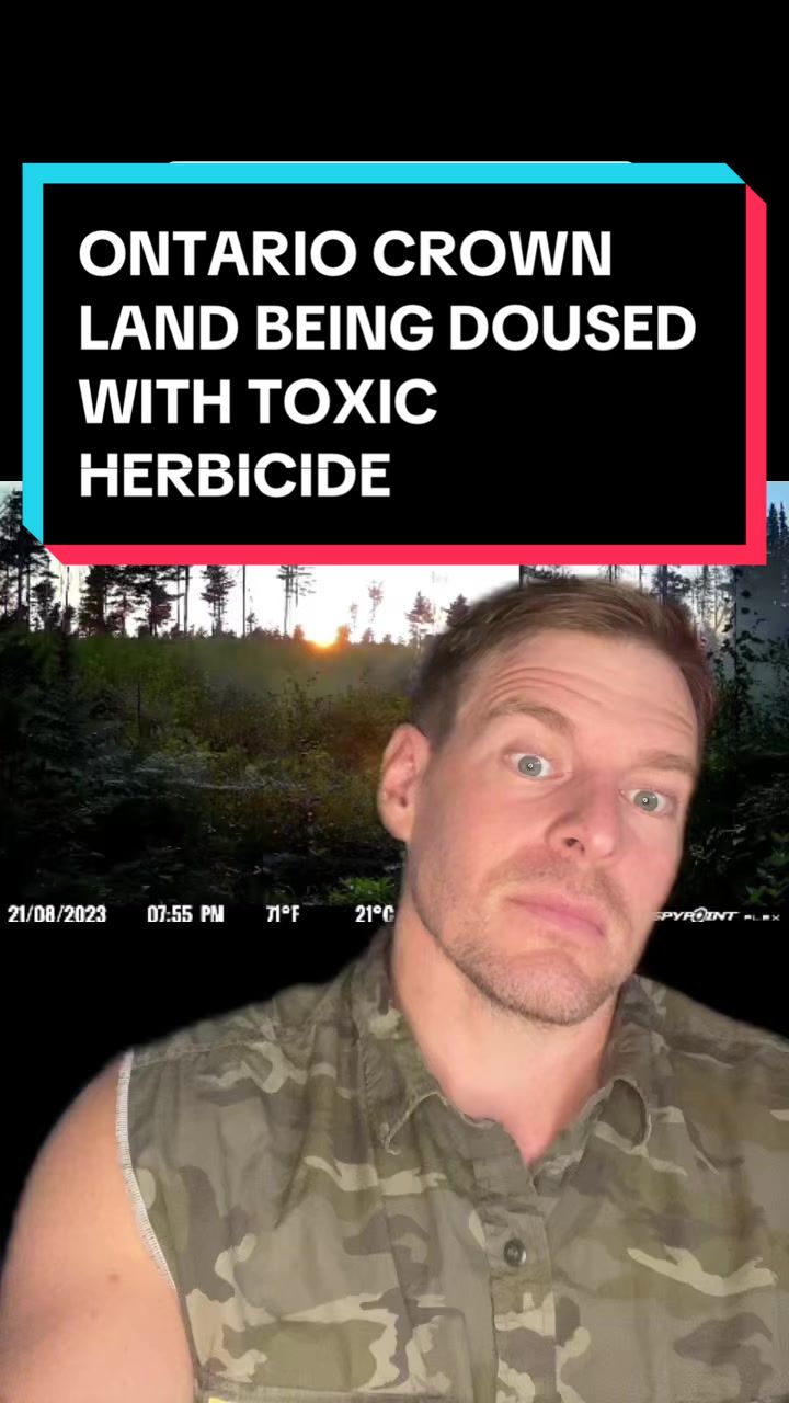 @Wild Ontario News