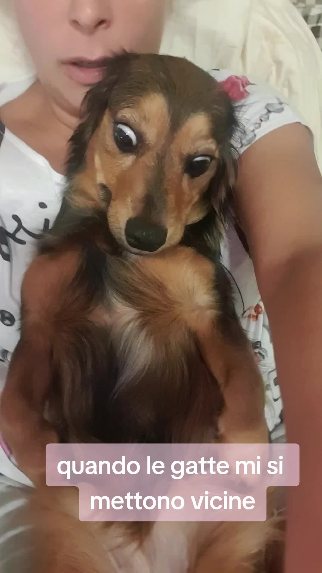 @Elisa🐶Ronda
