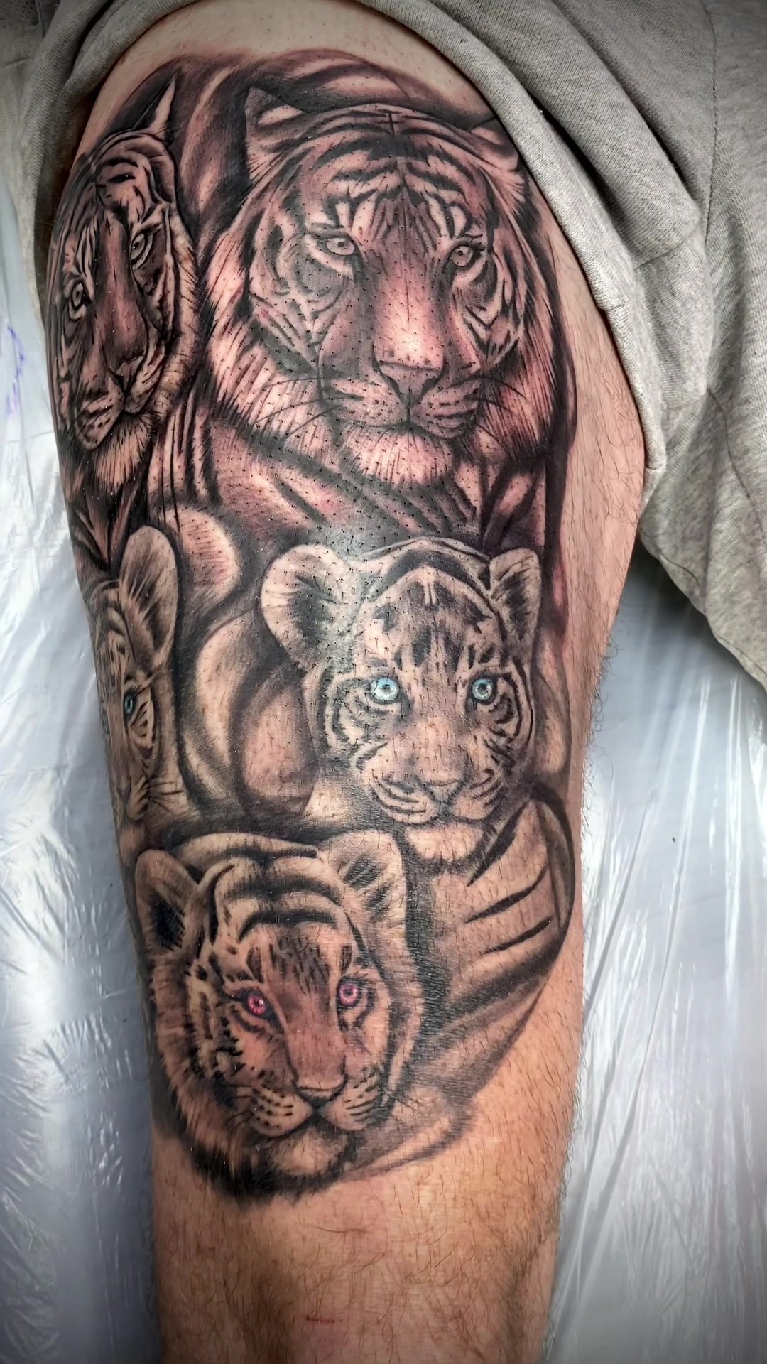 @Misty rose tattoo
