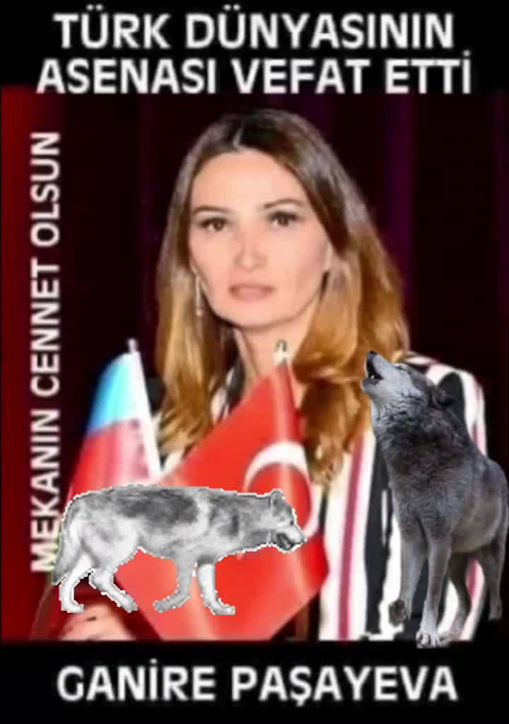 @YANLIZ KURT