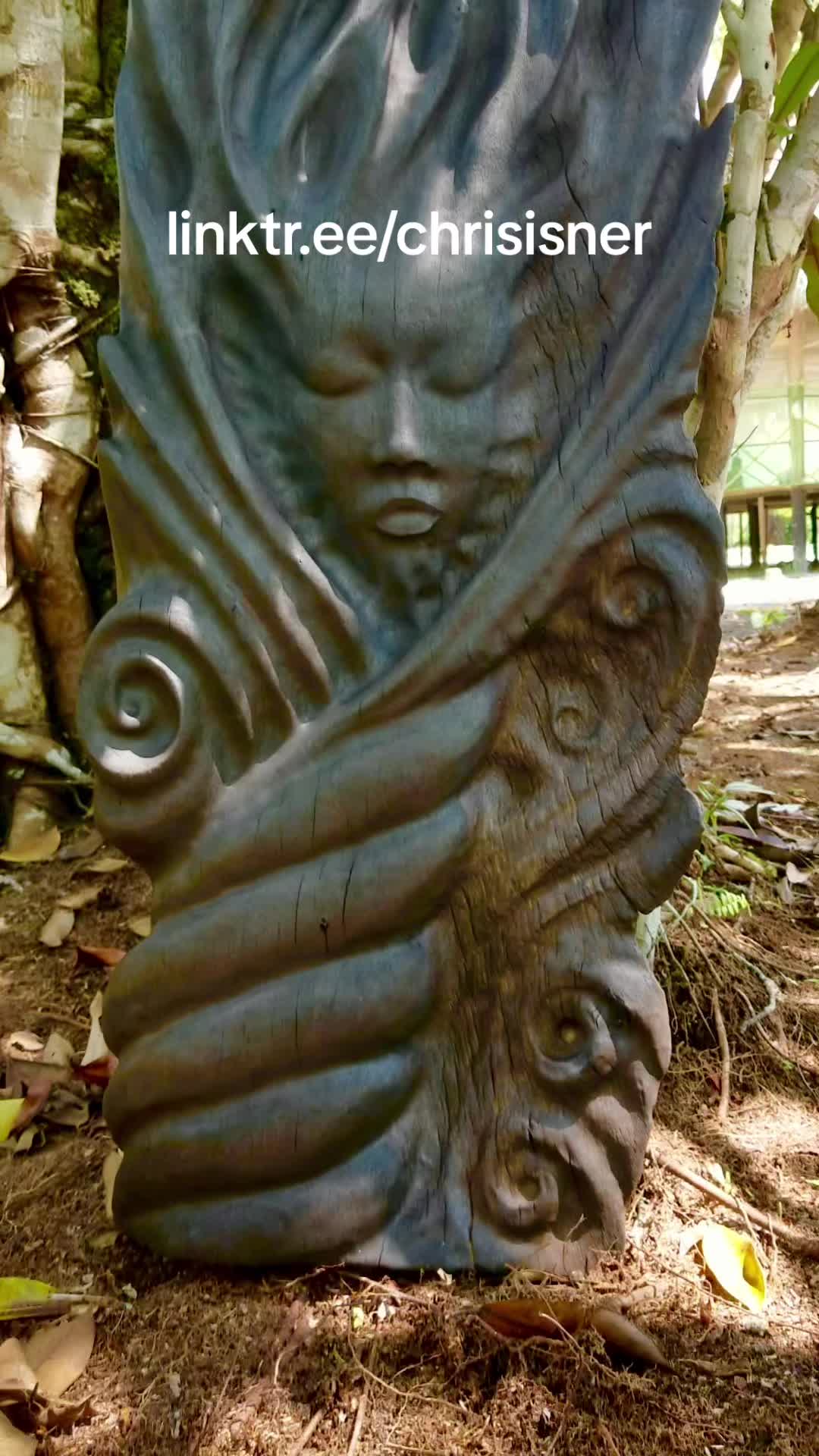 @cisnerart