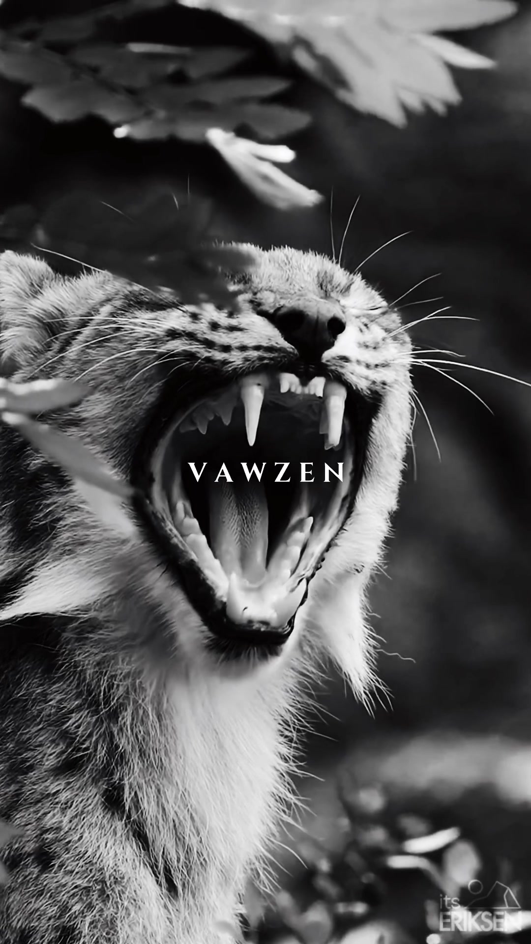 @Vawzen