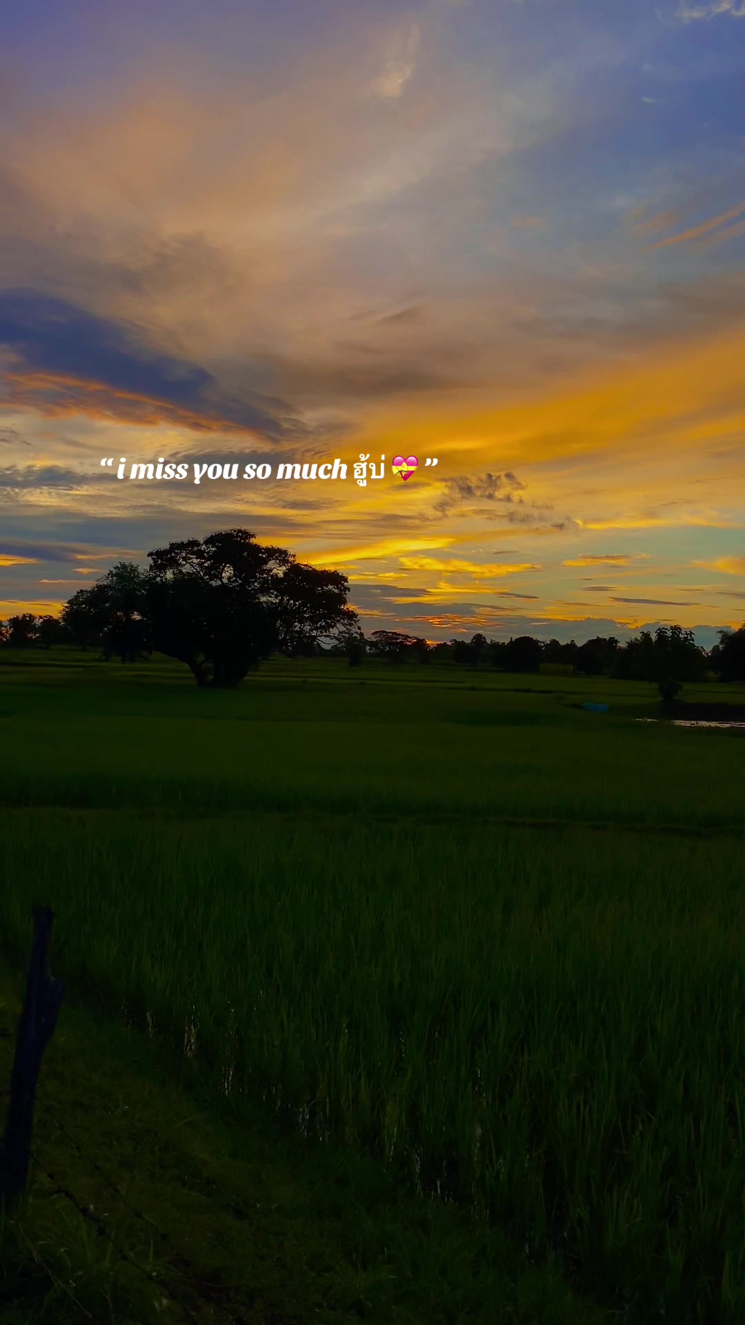 @𝐒𝐤𝐢𝐞𝐬 𝐤𝐮𝐛𝐳ź 🥷🏻