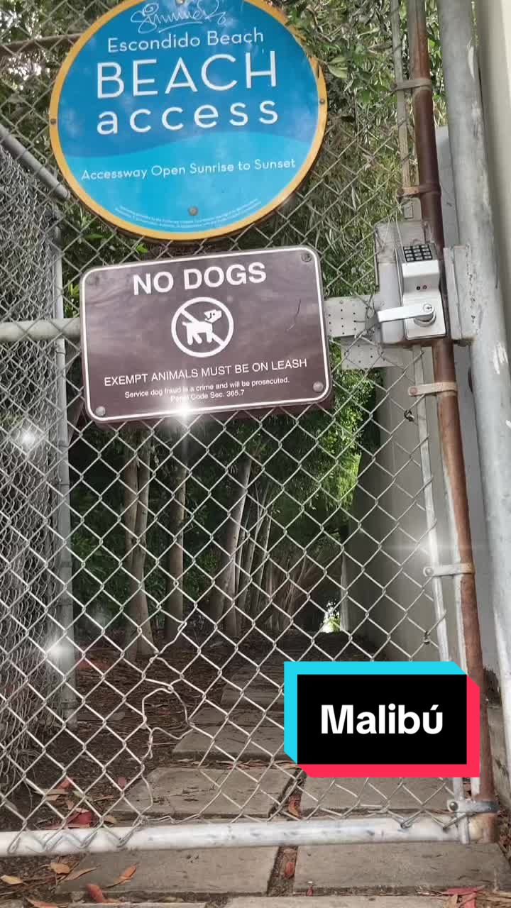 @Juli Rivers