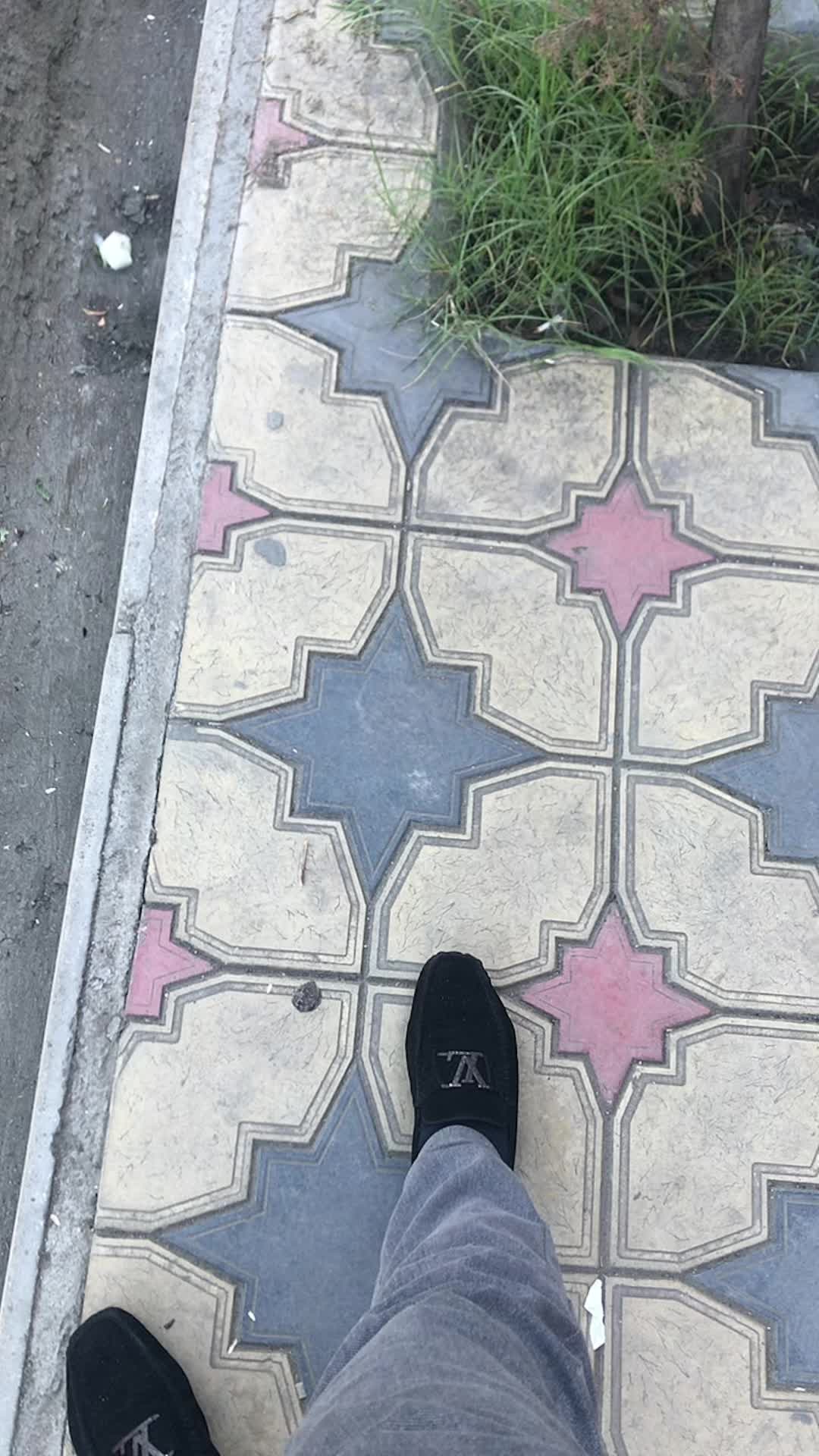 @🖤🦁AVŞARLIDI🖤🦁