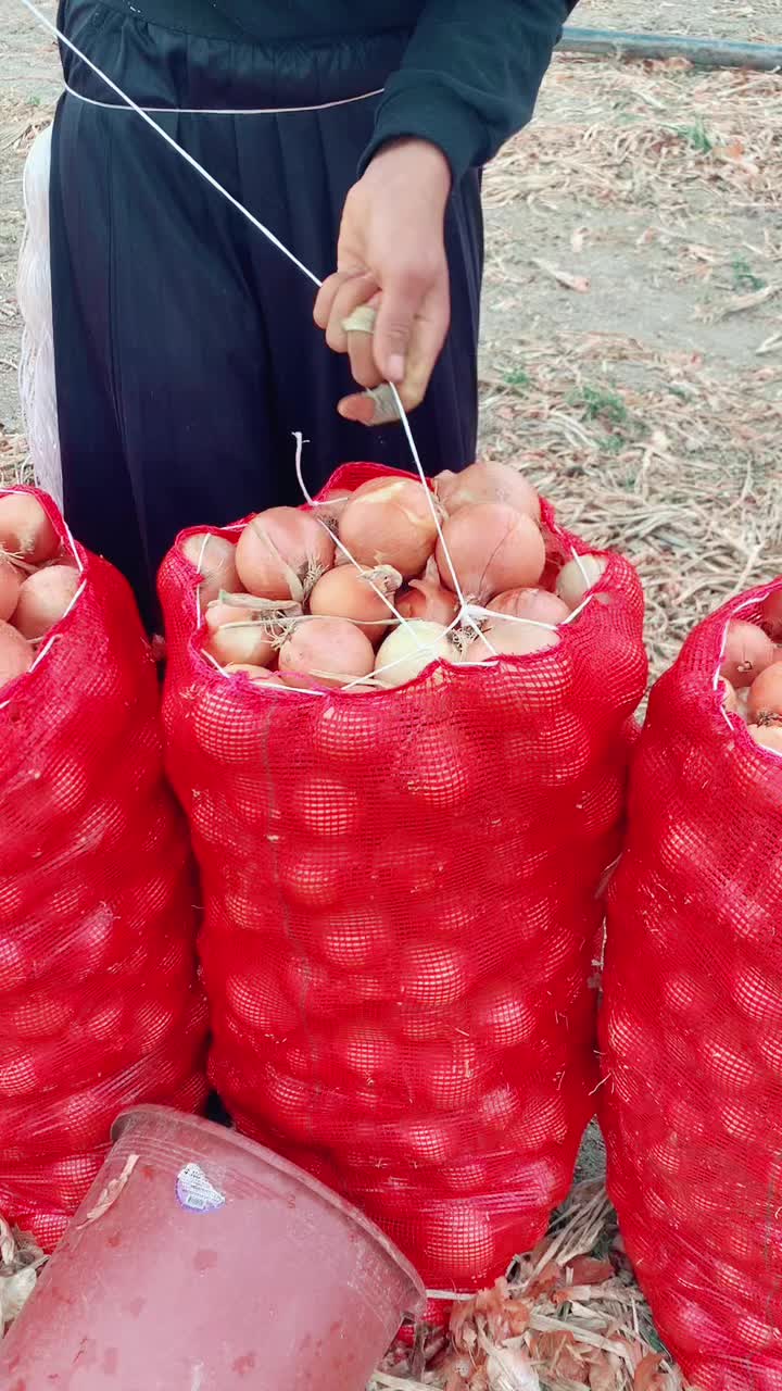 @Mesut &Ccedil;ift&ccedil;i