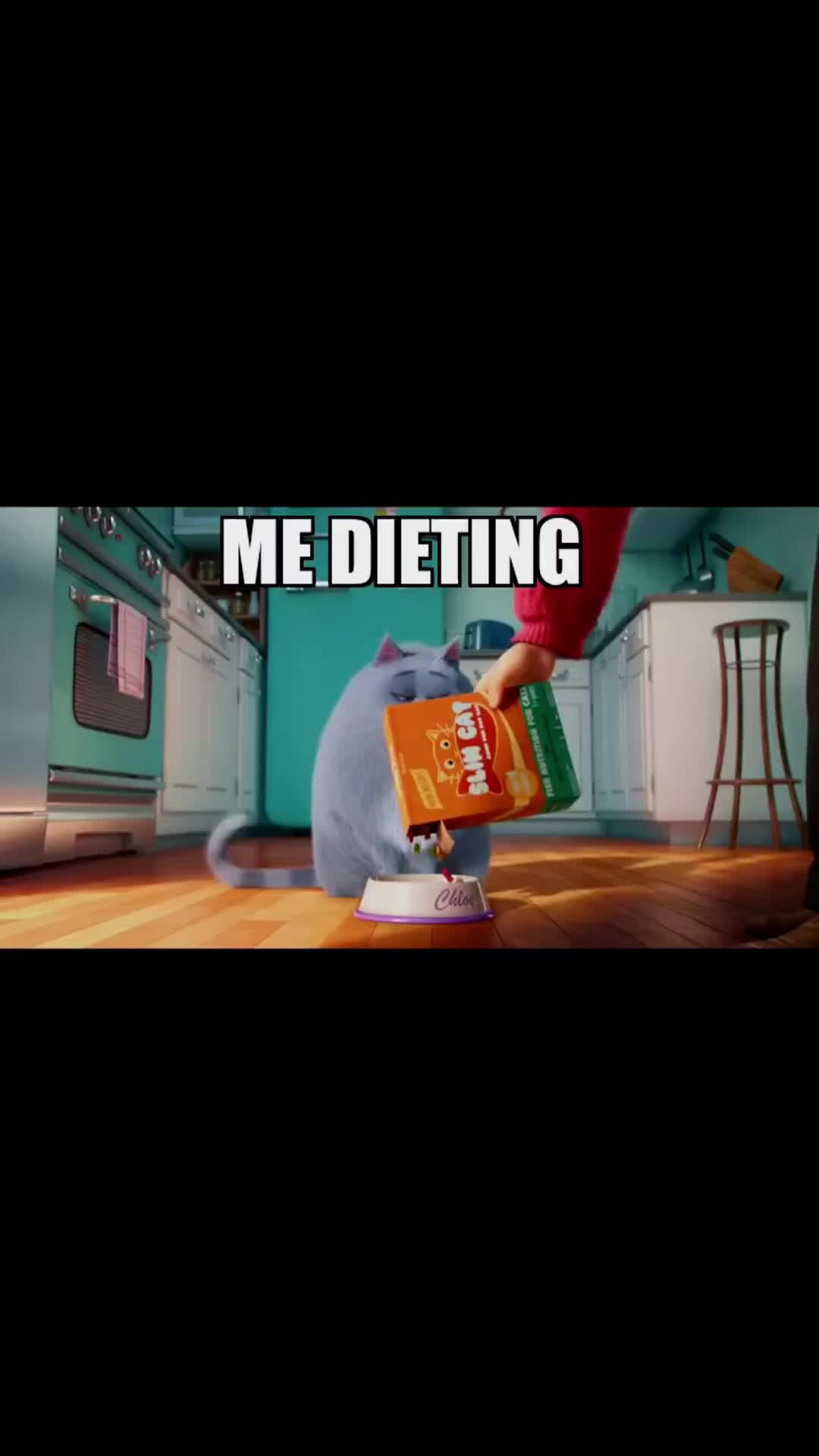 @Shredder