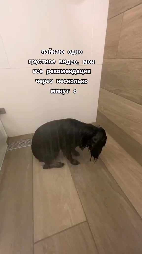 @水瓶座