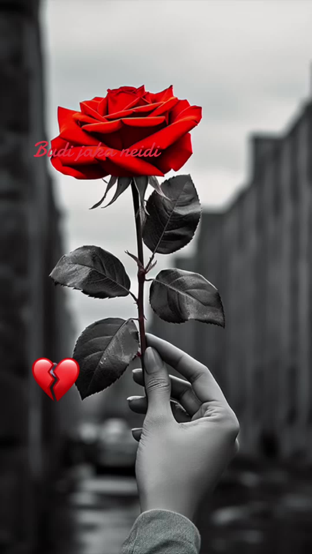 @🌸🌺&scaron;apat du&scaron;e 🌺🌸