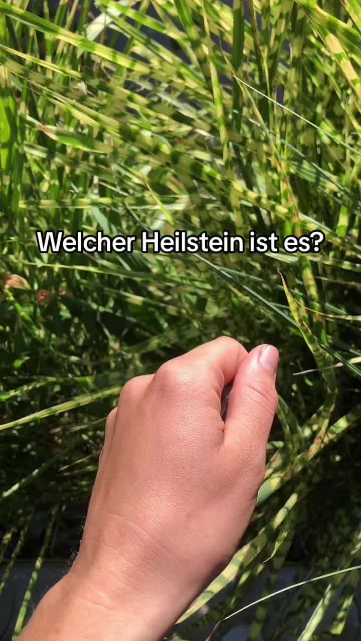 @_pflanzen_magie_